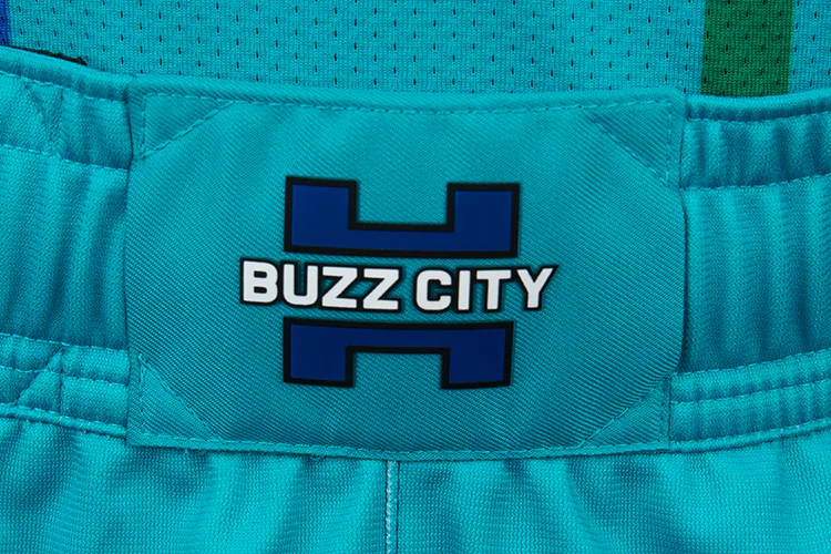 New Hornets mixtape 'City Edition' jersey pays homage to 90's teams,  Charlotte Coliseum