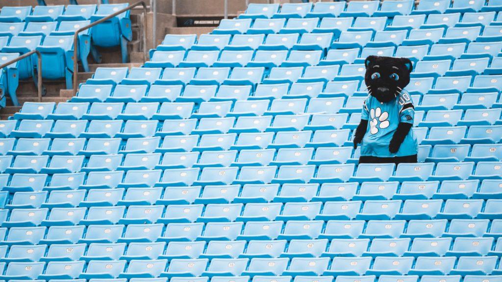 Carolina Panthers mascot Sir Purr