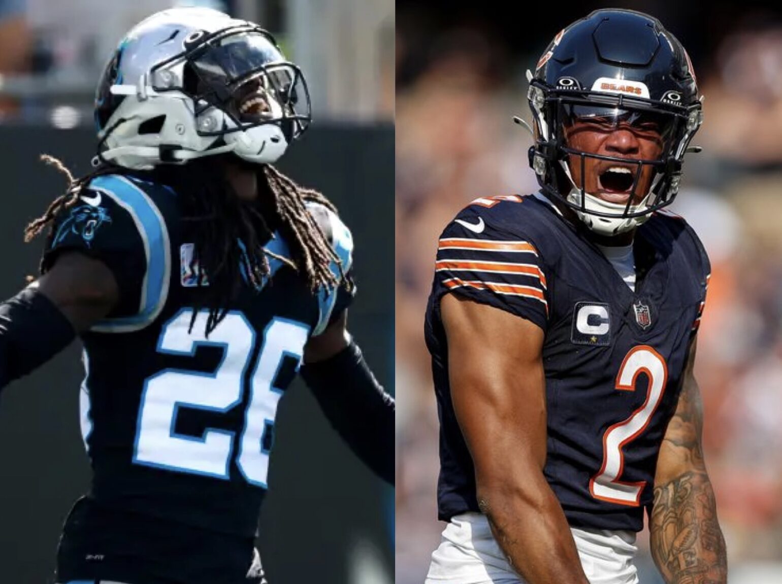 Everything You Need to Know about the Panthers vs Bears Carolina Blitz